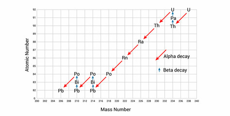 Uranium-238 undergoes 14 different radioactive decay processes before forming stable lead-206. Uranium-238 decay series
