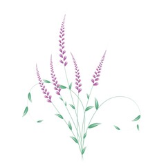 Bouquet of wild flowers isolated on a white background. Vector graphics. EPS 10.