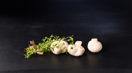 Mushrooms champignon with thyme sprig on a dark background.