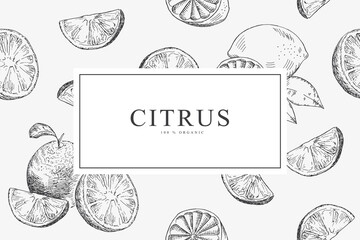Card with citrus - orange, lemon. Vector illustration