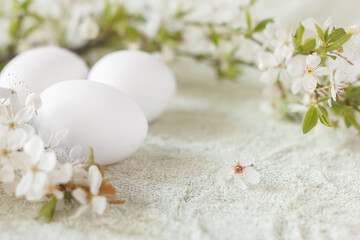 Three white eggs on light green fabric surrounded by branch of bird cherry with white blossom flowers. Selective focus on front egg.