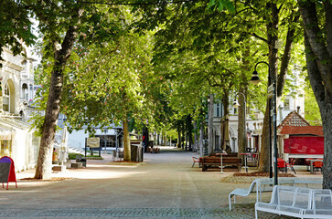 Bad Harzburg Bummelallee unter blühenden Kastanien