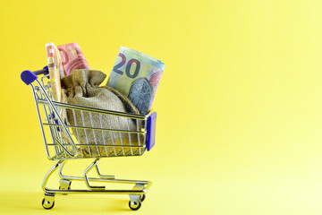 shopping cart with money