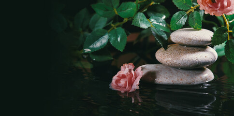 Still Life with Zen Stone, Candle and Plants in Water. Harmony, Relax and Health Care. Traditional Oriental Spa Concept