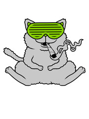 Joint kiffende Katze 