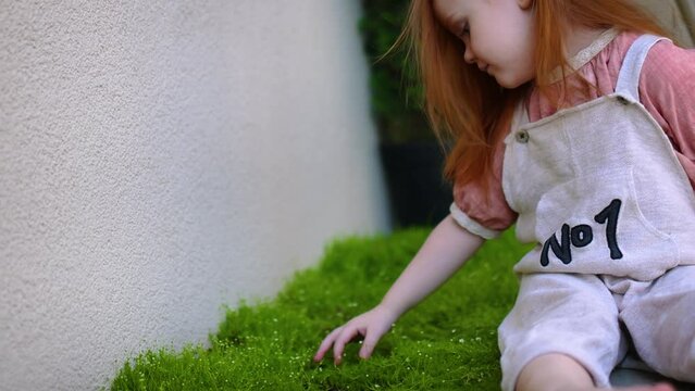 redhead baby girl cropping the flowers of blooming Sagina subulata Aurea in a patio garden