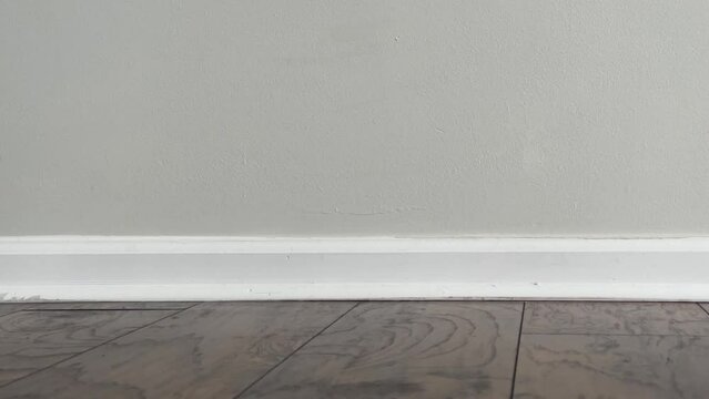 Sliding in front of a baseboard of an empty room with laminated floor and white wall revealing small potted  plant