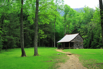 old cabin in the forest of smokey mountain national park