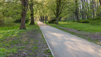 Alley in Zdrojowy park in Swinoujscie