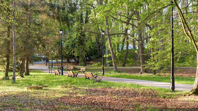 Alley in Zdrojowy park in Swinoujscie