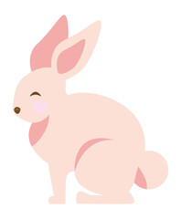 cute pink rabbit