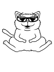 Freundlich Sonnenbrille Katze 