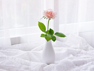 Pink pastel rose flowers in vase on table with embroidered cloth, still life for background or wallpaper, wedding concept ,mother's day ,women's day ,soft color ,romantic lovely card copy space 