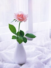 Pink pastel rose flowers in vase on table with embroidered cloth, still life for background or wallpaper, wedding concept ,mother's day ,women's day ,soft color ,romantic lovely card copy space 