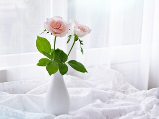 Pink pastel rose flowers in vase on table with embroidered cloth, still life for background or wallpaper, wedding concept ,mother's day ,women's day ,soft color ,romantic lovely card copy space 