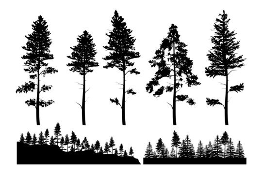 Silhouettes of pine trees elements vector collections 