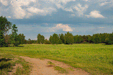 łąki, pola, letnie łąki, łąki i lasy, Kwitnące trawy, zielone łąki, słoneczny dzień na wsi  © Follow the Sun