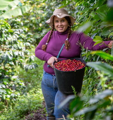 Working on his coffee farm