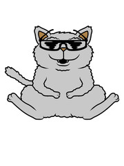 Coole Sonnenbrille Katze 