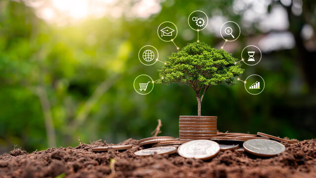 A tree growing on a pile of coins and a green background is a concept of financial system development and economic growth.