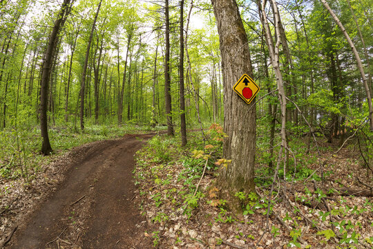 A stop sign Posted on Tree on ATV and dirtbike Multi-Use or Multipurpose Trail in Simcoe County