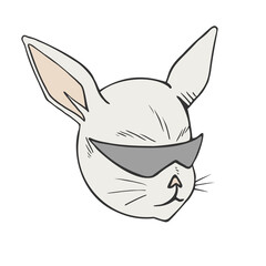 Cool rabbit draw