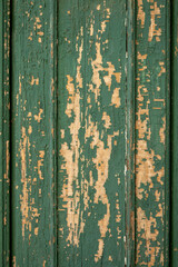 old wooden cracked green painted door
