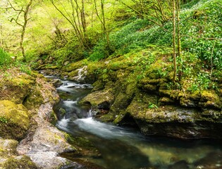Fototapeta premium Lydford Gorge, Dartmoor Park, Okehampton, Devon, England