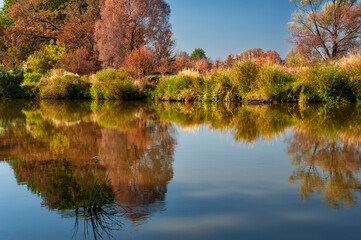 Calm lake with lush vegetation along the banks on a sunny day.