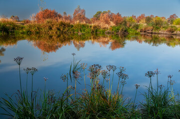 Calm lake with lush vegetation along the banks on a sunny day.