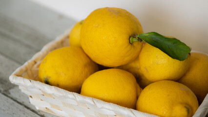 カゴに盛られたとれたてのレモン