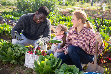 Happy family couple of gardeners with daughter holding harvest of fresh vegetables in garden on a sunny spring day