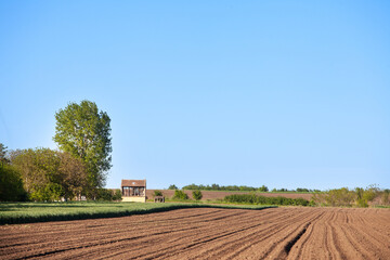 Selective blur on furrows on a Agricultural landscape near a farm, a plowed field in the...