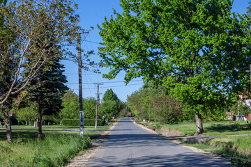 Typical countryside road in the village of Banatsko novo selo, a serbian village of the Banat region of Vojvodina, Serbia, surrounded by green trees and farms in spring...