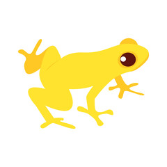 Isolated frog icon amphibian animal Vector illustration
