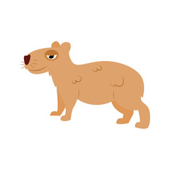 Obraz na płótnie Canvas Isolated capybara cartoon Animal icon Vector illustration