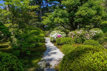 Fototapeta na wymiar 満開のツツジが咲く日本庭園の情景＠石川