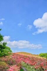 爽やか 岩手県室根山　山頂

