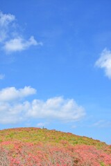 Naklejka premium 爽やか 岩手県室根山 山頂 