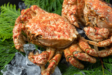 茹でたてのクリガニ