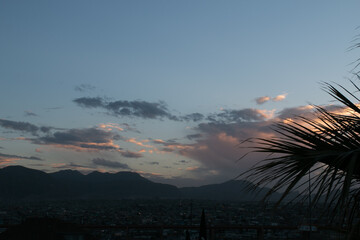 Palm Tree and Mountains Sunset