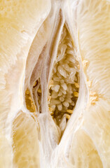 Citrus fruit core closeup background.