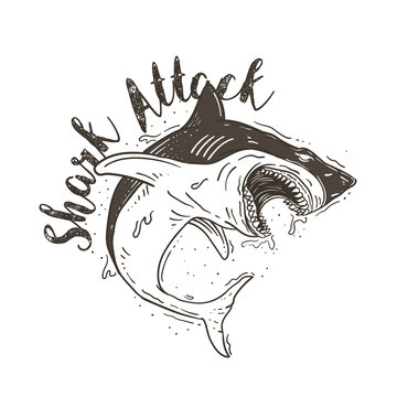 shark attack illustration background template
