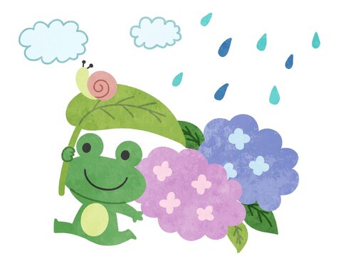 梅雨・雨の日の紫陽花とカエルのイラスト素材
