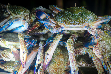 Fresh Crabs in Seafood Market near Cox's Bazar Sea Beach