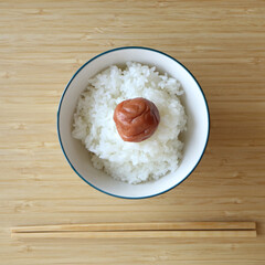 美味しそうな梅干ごはん（日本の日の丸弁当）