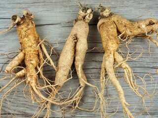 한국음식 인삼, 뿌리식물