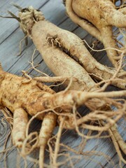 한국음식 인삼, 뿌리식물