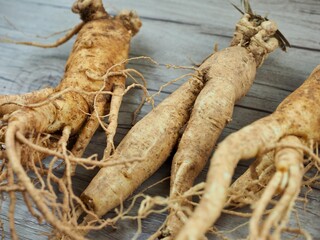 한국음식 인삼, 뿌리식물