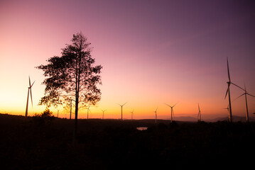 Fototapeta premium Wind turbines power plant at sunset are alternative electricity, the concept of sustainable resources. Green energy concept to reduce global warming and climate change and pollution